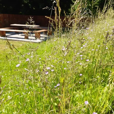 Дом отдыха Aktiv *