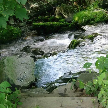 Дом отдыха Aktiv *